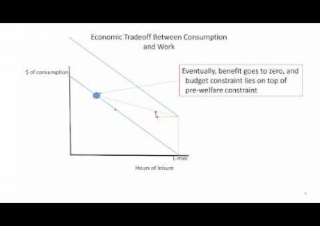 Week 8: Module 8.2 Economic Theory of Welfare and Work Incentives