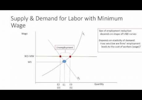 Week 7: Module 7.2 Poverty and the Minimum Wage