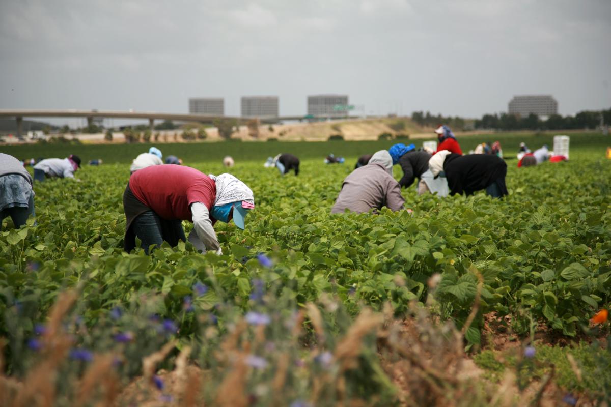 american farmers working